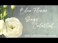 Blue flower  songs celestial  sri chinmoy  spiritual music  meditation music  relaxation music