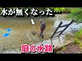 大量の外来生物を減水した庭水路で捕獲してエサにする!