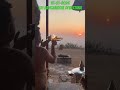 Sri Ranganatha Devastana#shortvideo #shortsviral