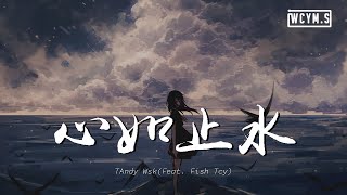 Andy Wsk - 心如止水 Future RNB 改编 (Feat. Fish Tcy)【動態歌詞/Lyrics Video】