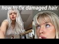 how to fix damaged hair and maintain platinum blonde