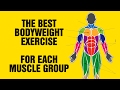 The Best Bodyweight Exercise For Each Muscle Group - Calisthenic Exercises