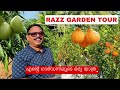 Razz garden tour 2024 1 st    