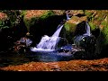 تصوير طبيعه مونتاج طبيعه تصوير نهر مونتاج نهر تصاميم جاهزه طبيعه خضراء