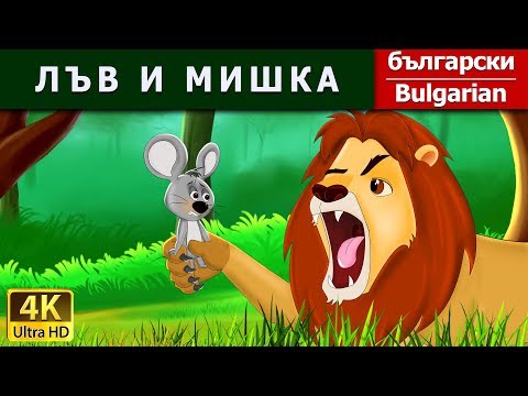 Видео: Как да укротим човек лъв