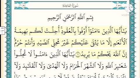 سورة المائده صفحه ١ مكتوبه مكرره ١٠ مرات بصوت الشيخ ياسر الدوسري