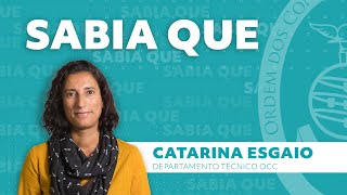 «Sabia que?» - Consignação de IRS