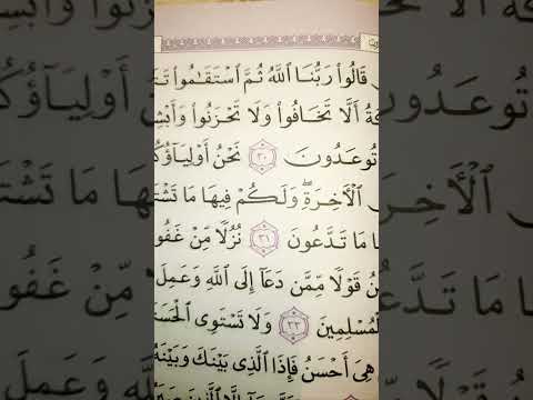 أن الذين قالوا ربنا الله ثم استقاموا تتنزل عليهم الملائكة سورة فصلت قراءة مميزة الشيخ صلاح بوخاطر