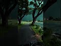 Riding Through the Storm | Cinematic Cycling Vibe 🌧️🌲 #shorts #aesthetic #bikeride #usashorts