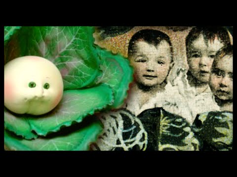 Original Cabbage Patch Kids Doll Inspiration History - Surrealism Art Postcards