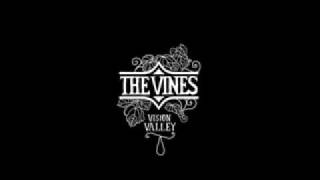 The Vines - Vision Valley - Don&#39;t Listen to the Radio