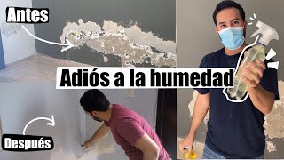 ✅Elimina la HUMEDAD, SALITRE Y MOHO de TECHOS Y PAREDES