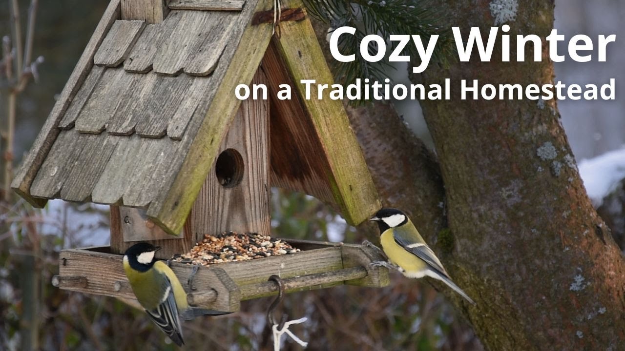 Cozy Winter on a Traditional Slavic Homestead