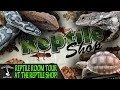 REPTILE ROOM TOUR AT THE REPTILE SHOP!