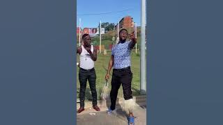 Phakel’umthakathi | Mtebheda Sibiya | khwishi