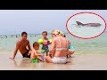 A Wild Dolphin Swims Around Us! (SUPER CLOSE)