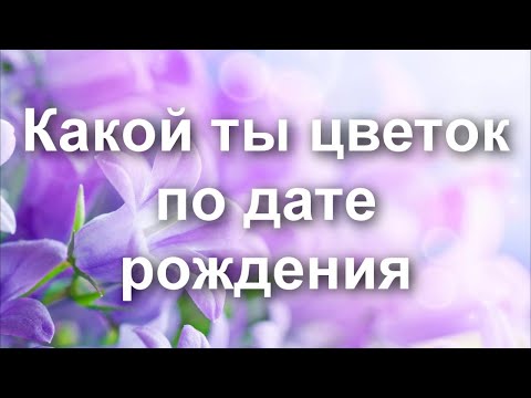 Какой ты цветок по дате рождения