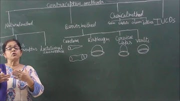 BIO-XII-4-04,Natural and Barrier Methods of Contraception,Pradeep Kshetrapal channel