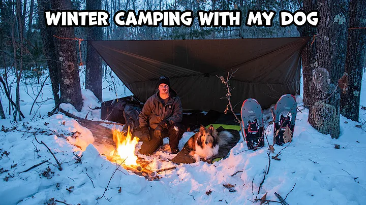 Winter Camping With My Dog And Cooking Gourmet Cam...