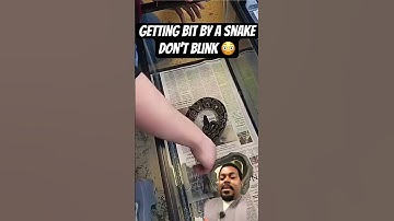 Getting bit by a snake 😳 don’t blink