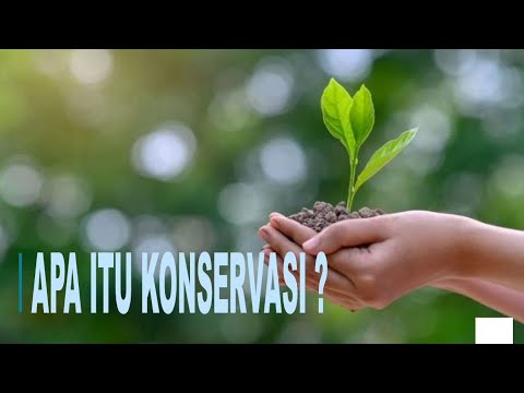 Video: Apa itu kehidupan konservasi?