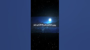 القارئ/محمد اللحيدان/سورة التوبة/35/🥀🖤