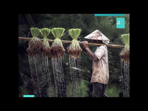 الحصول على المياه العذبة والنظيفة حق لكل إنسان