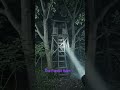 The Forest Hunt 🌲😱 | 360° VR Horror Experience (30 Seconds) | Tung Tung Tung Sahur Scary Short