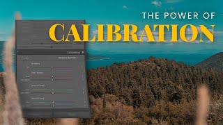 How To Use The CALIBRATION Tool | Lightroom Tutorial (2023)