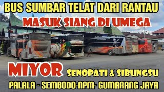 BUS SUMBAR MASUK SIANG DARI RANTAU #NPM #PALALA #MIYOR #SEMBODO (2 mei 2024)