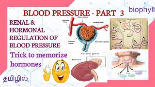 RENAL & HORMONAL REGULATION OF BLOOD PRESSURE | Tricks to memorize hormones regulating BP |
