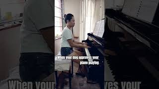 raindrop prelude #piano #pianomusic #prelude #classicalmusic