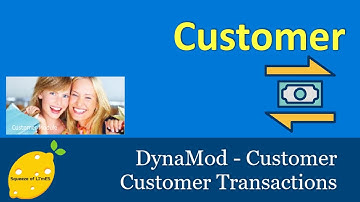 DynaMod - Customer Transactions Guides and Tips