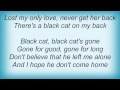 Miniature de la vidéo de la chanson Black Cat