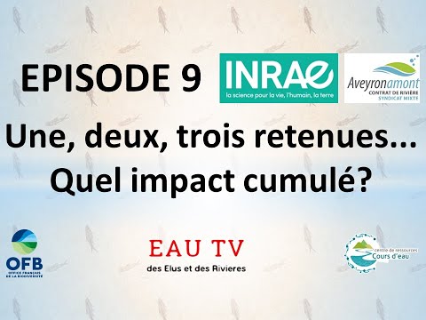 Une retenue, deux retenues, trois... Quel impact cumulé des retenues ?