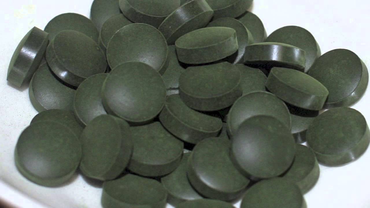 major field of study medicine Anemia: Alga Espirulina