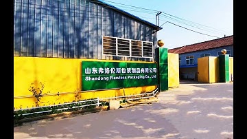 Shandong Flawless Packaging Company - Introduction Video Made By Alibaba SGS Group