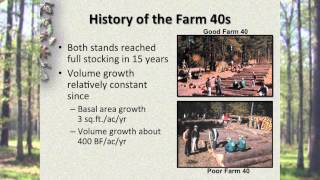 Chapter 3 - Natural Regeneration of Southern Pines.mov