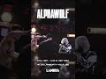 Alphawolfcvlt full live set on lambdatv youtube