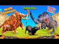 Woolly Mammoth Vs Zombie Woolly Rhino Cartoon Cow Escape from Maze Saber tooth Mammoth Epic Battle