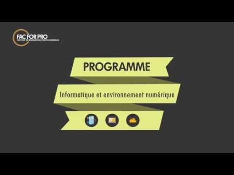 Programme Informatique et environnement numérique FAC FOR PRO