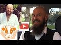 Как содержать коров в сухостойный период