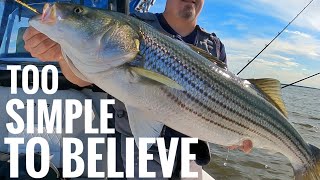 INCREASING your Striper Fishing ODDS! BIGTIME! It’s all here.