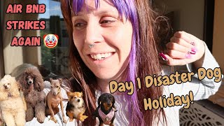Doggy holiday abroad gone wrong by Cece Canino My Life With Dogs 33 views 7 months ago 8 minutes, 16 seconds