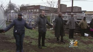 Battle Brews Over Brooklyn Garden