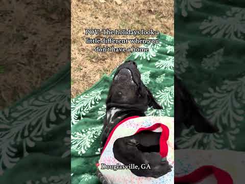 Follow On Facebook For Updates Https Www Facebook Com Share 1DGthwCvG8 Mibextid WwXIfr 