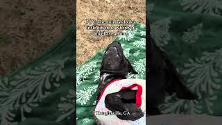 👉 Follow on Facebook for updates: https://www.facebook.com/share/1DGthwCvG8/?mibextid=wwXIfr