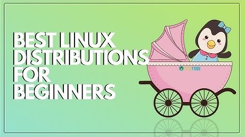 5 Best Linux Distributions for Beginners