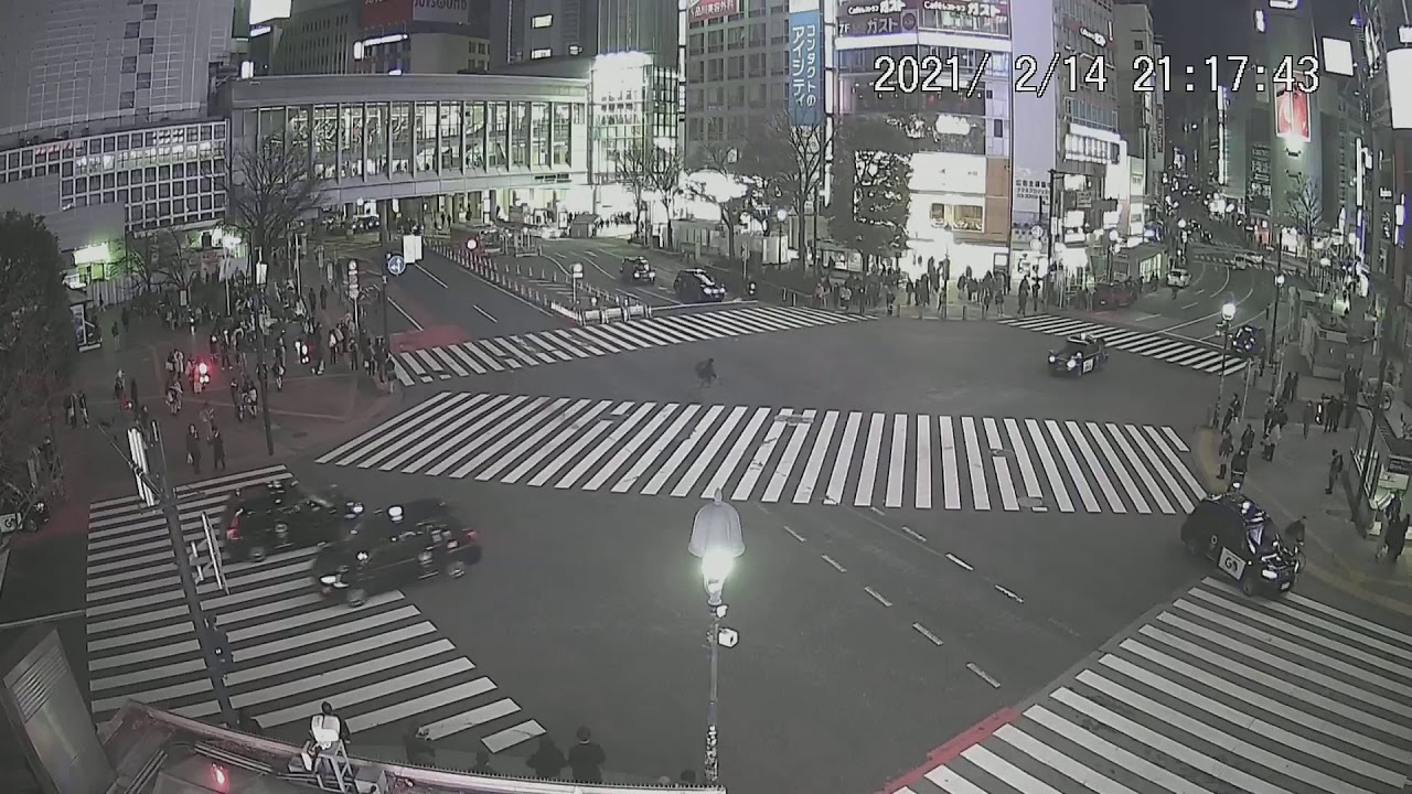 定点 渋谷 カメラ 交差点