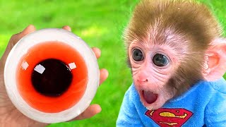 Baby Monkey BonBon حصاد حلوى العين وأكلها مع الجرو اللطيف - BonBon Arabic